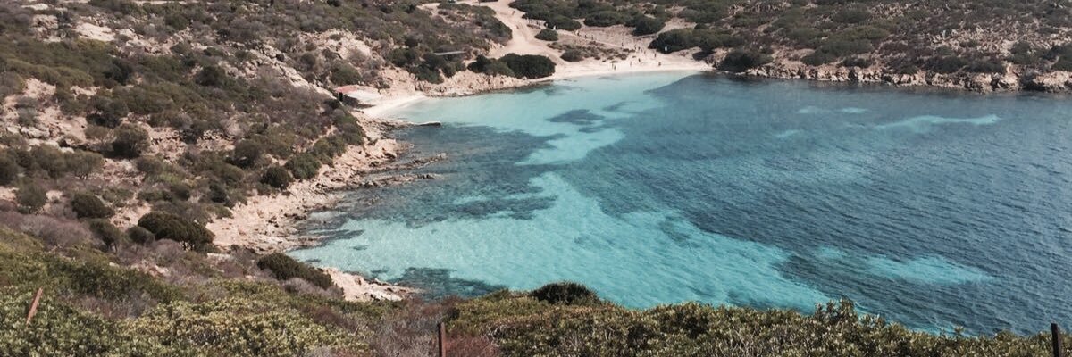 taxu's profile banner image