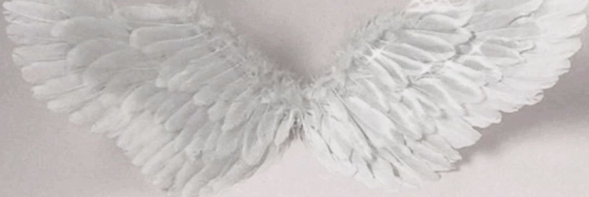 heeavnlyy's profile banner image