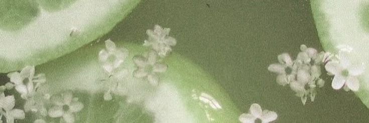 — 𖢻 ⬩𝓕𝖨𝖥𝖳𝖧 𝓗𝖮𝖪𝖠𝖦𝖤 .ᐟ banner