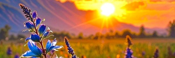 boyobo219 Profile Banner