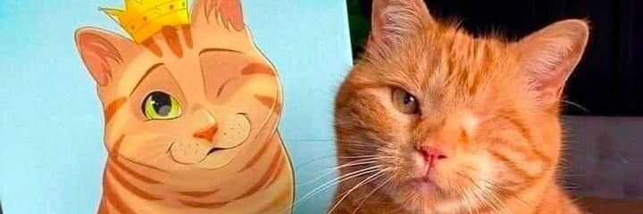 anish_29's profile banner image