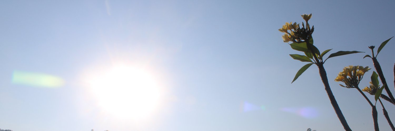 Nisafnn's profile banner image