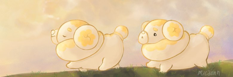 BidoofPrincess banner