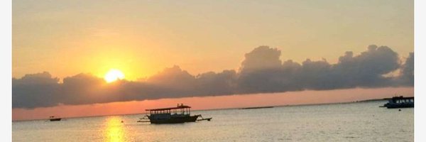 Brocklyn855 Profile Banner