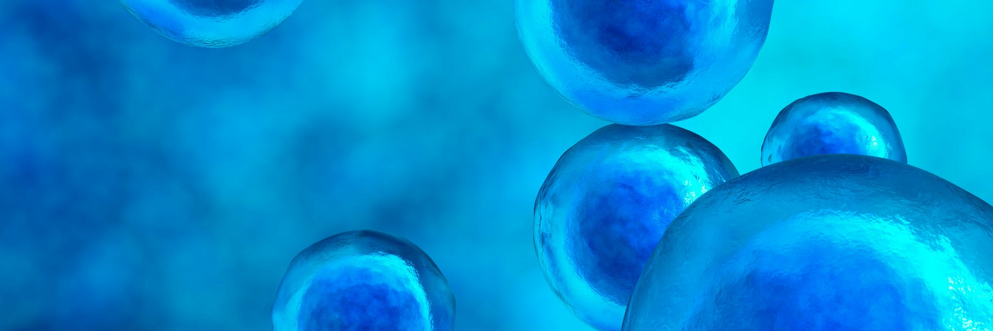 Stratophase's profile banner image