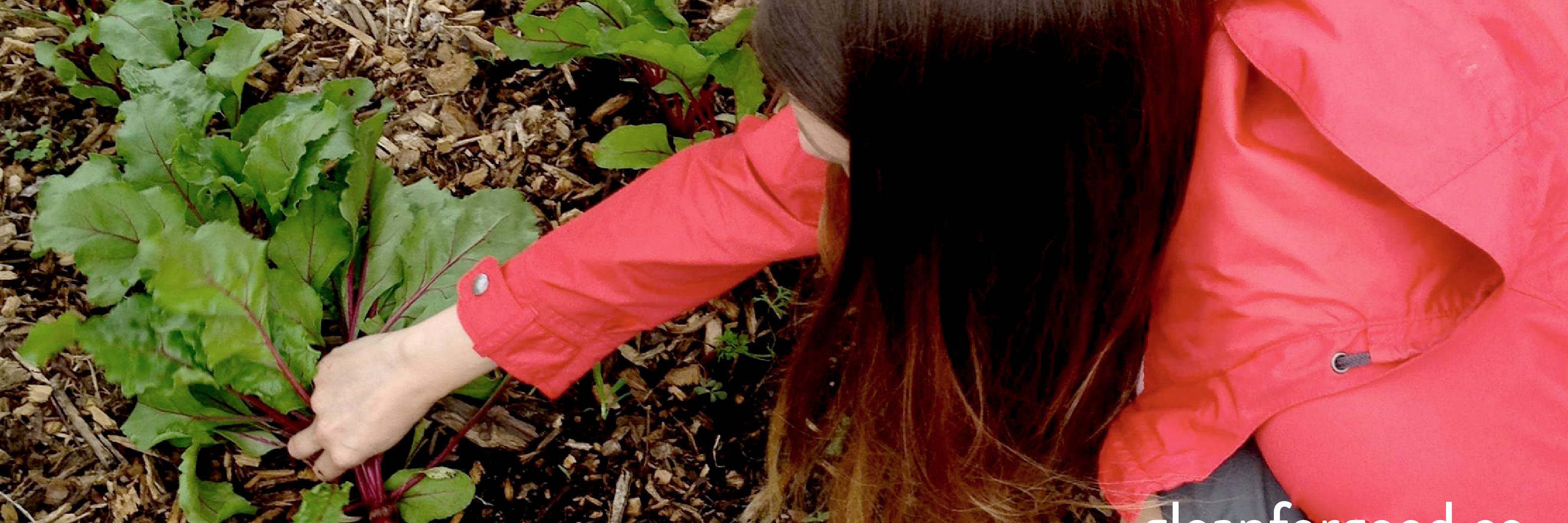 drbethjensen's profile banner image