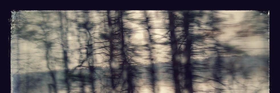 Kateisfly's profile banner image