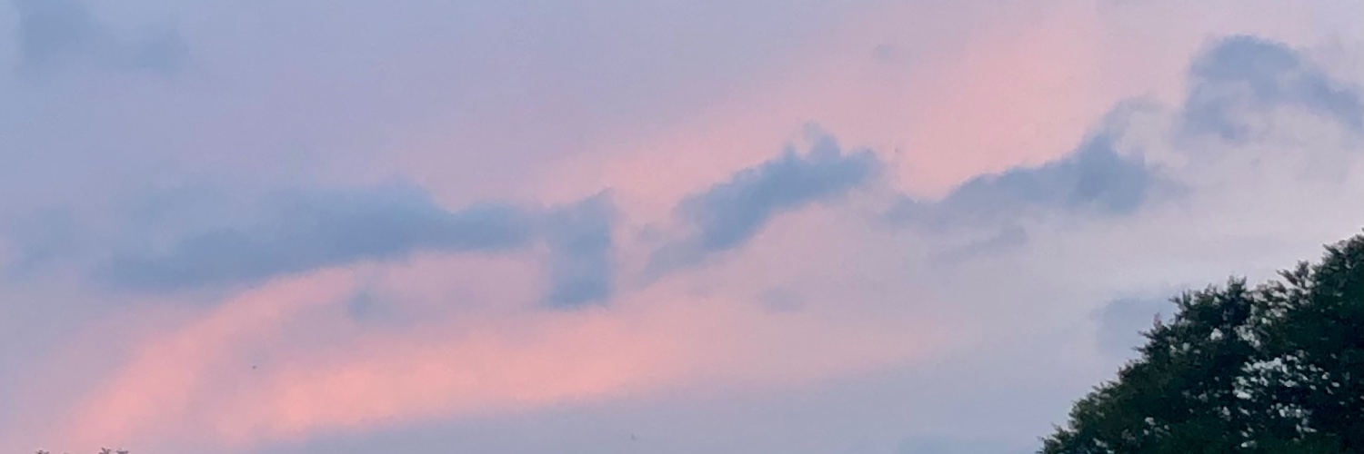 Arcturus | bannerfall yuri 🔥 banner