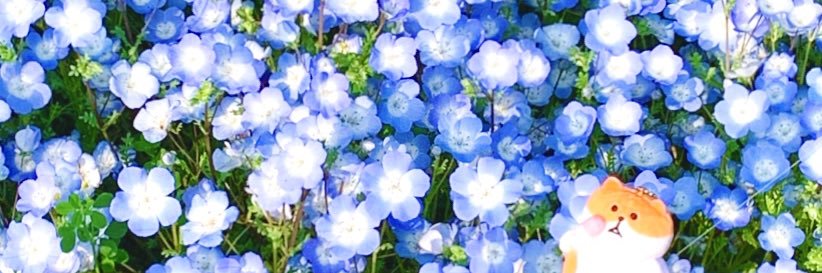 すけにゃんずパーティー banner