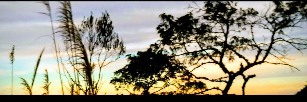 FaraGameplays banner