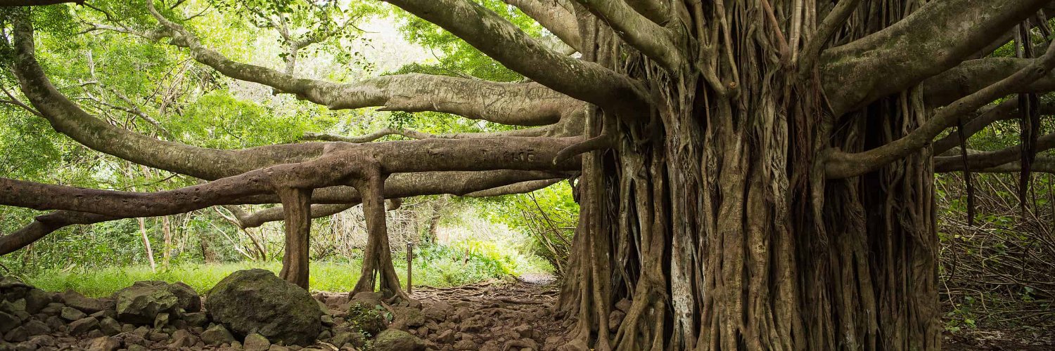 Planet of the crepes banner