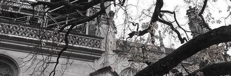 ♡ banner