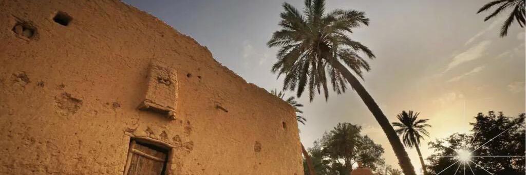 mshallali's profile banner image