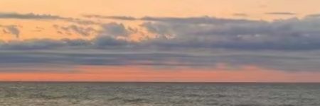 savortwine_'s profile banner image