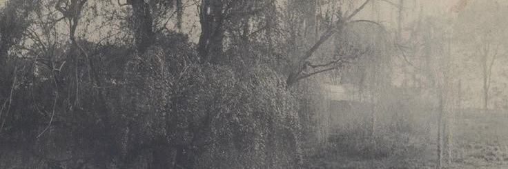 airfacy's profile banner image
