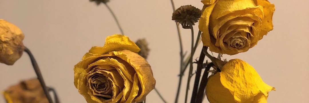 jadieel7's profile banner image
