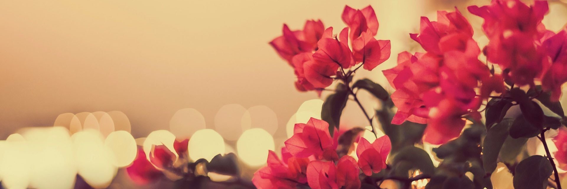 dahGRL's profile banner image