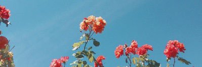 acciokindness's profile banner image