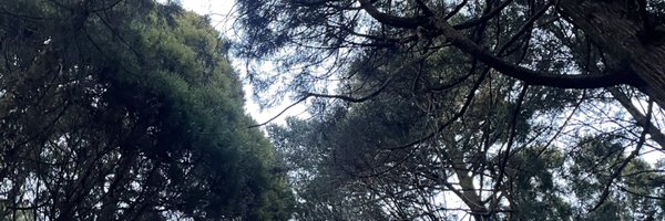 k_no_uta Profile Banner