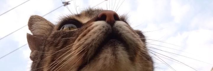 andoretarada's profile banner image