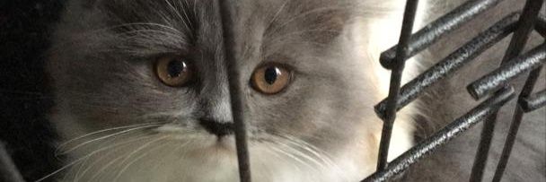 Muhammad_jerr's profile banner image