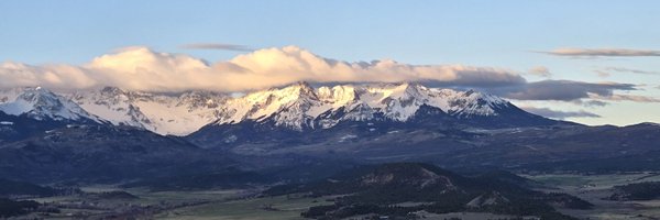 FoxTang65 Profile Banner