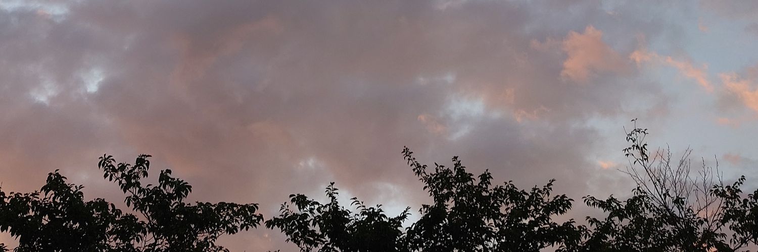 mininn99's profile banner image