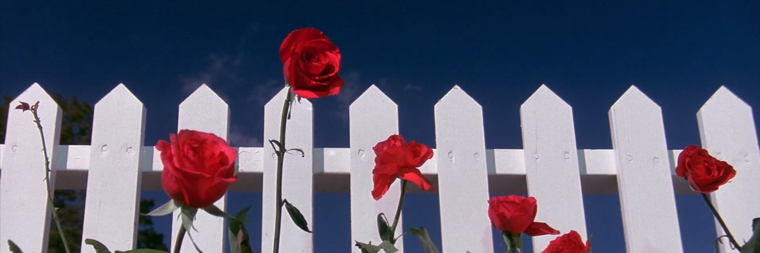 LittleBay25's profile banner image