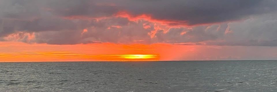rennaizant's profile banner image