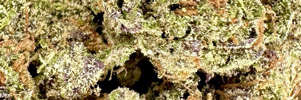 JKDistroCa Profile Banner