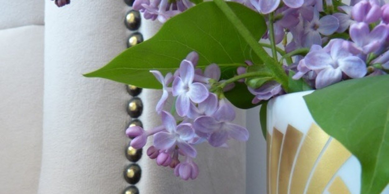 cherishtoronto's profile banner image