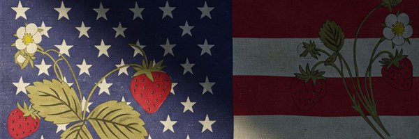 Strawberrysumr Profile Banner
