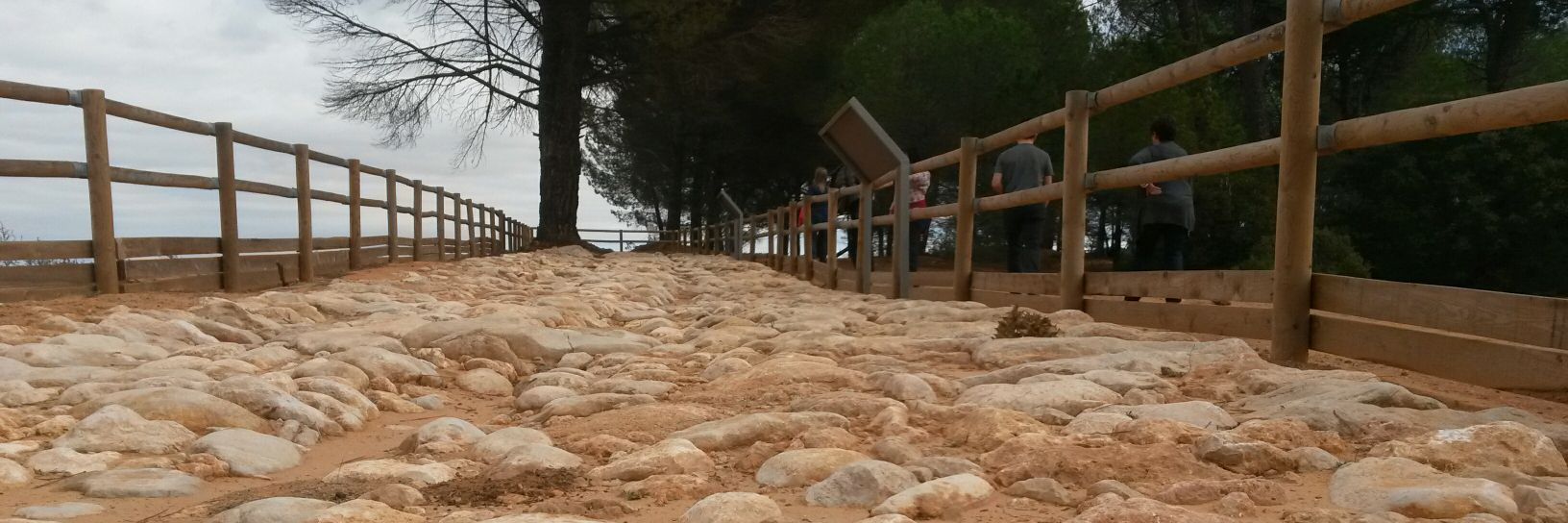 15cumbres's profile banner image