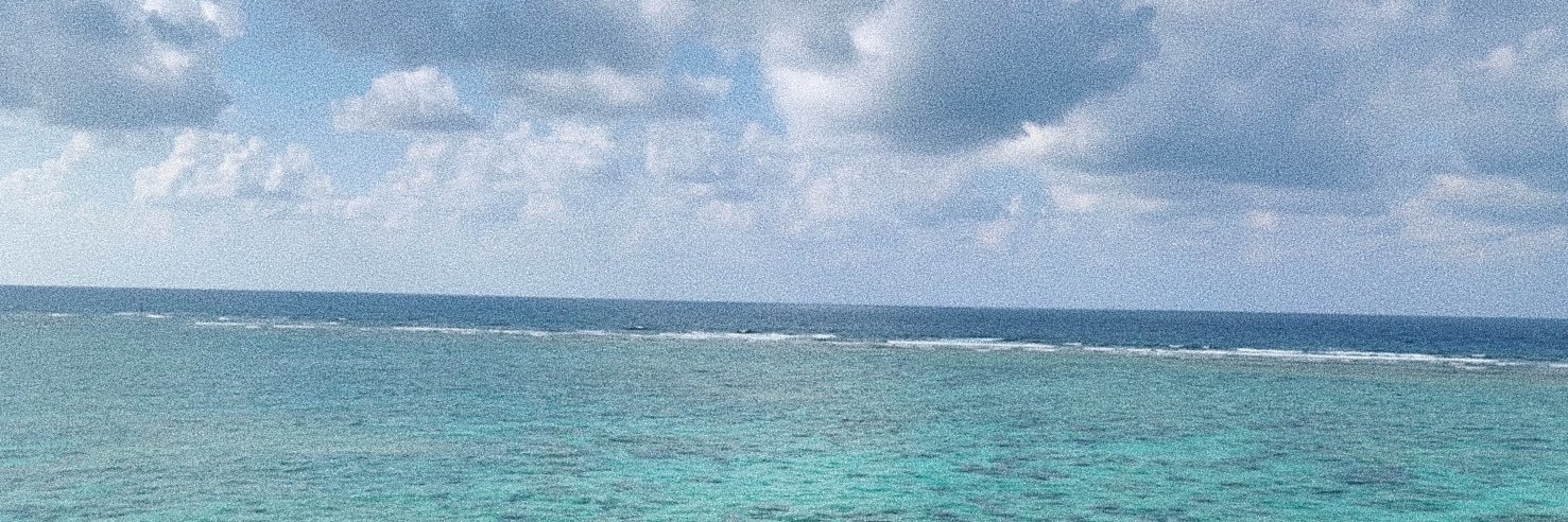 naooooooo121's profile banner image