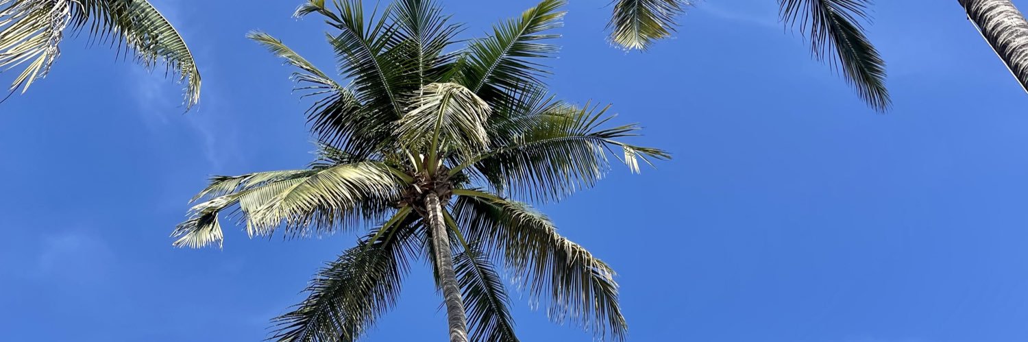 Aaronflorees banner