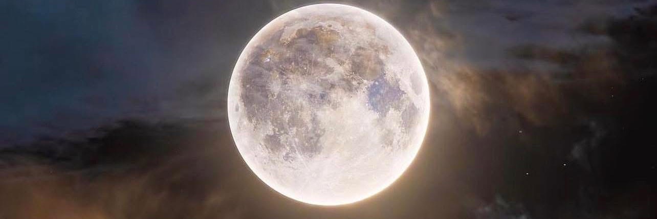 Tina Snow❄️ banner