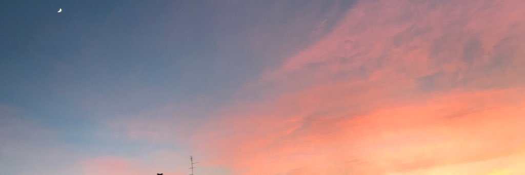 daphers101's profile banner image