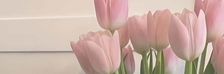 dae ⋆˚✿˖° banner