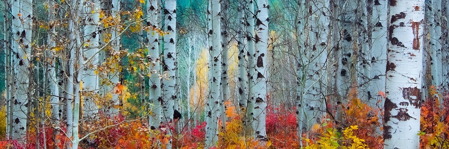 Richard Fenster banner