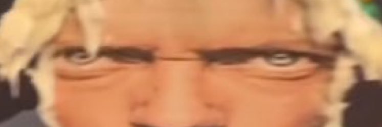 🔞 EvilDutch banner