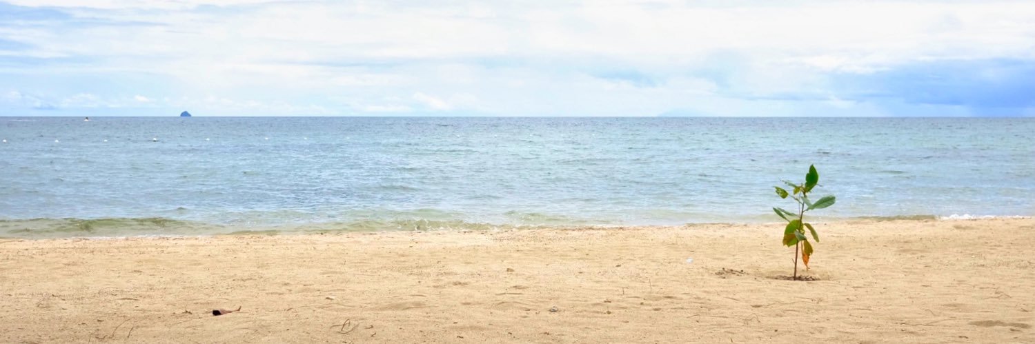 lucille_lc's profile banner image