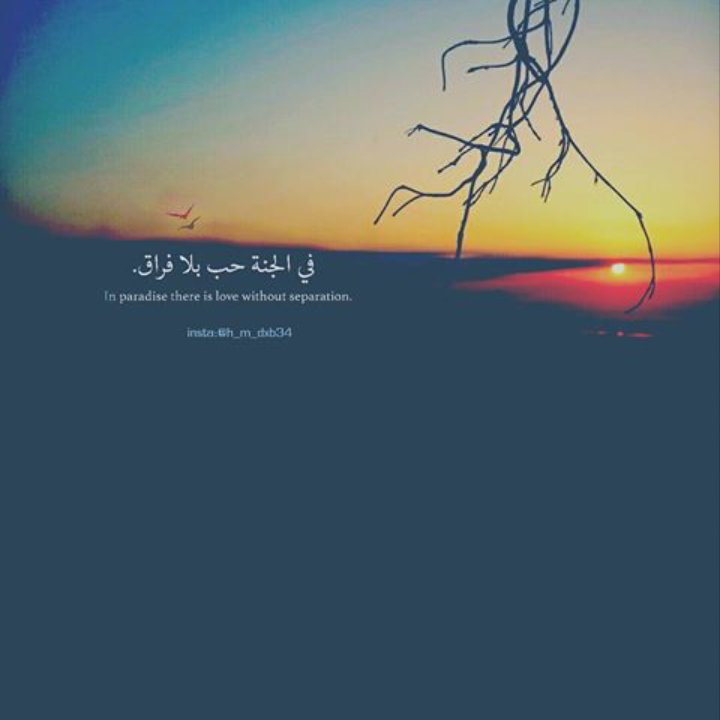 ansam_131's profile banner image