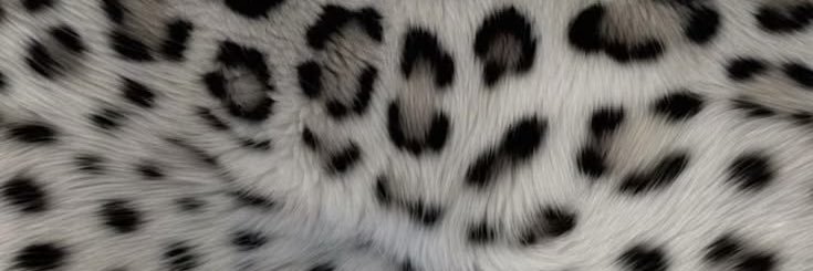 fri🐆 banner
