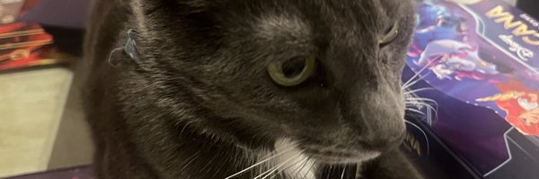 maihuyynh Profile Banner