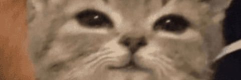 choukofjago's profile banner image