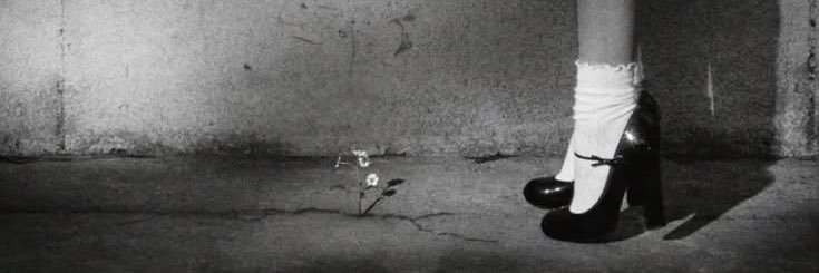 blvsmm's profile banner image