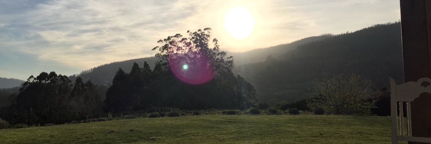 Reyes Picardo banner