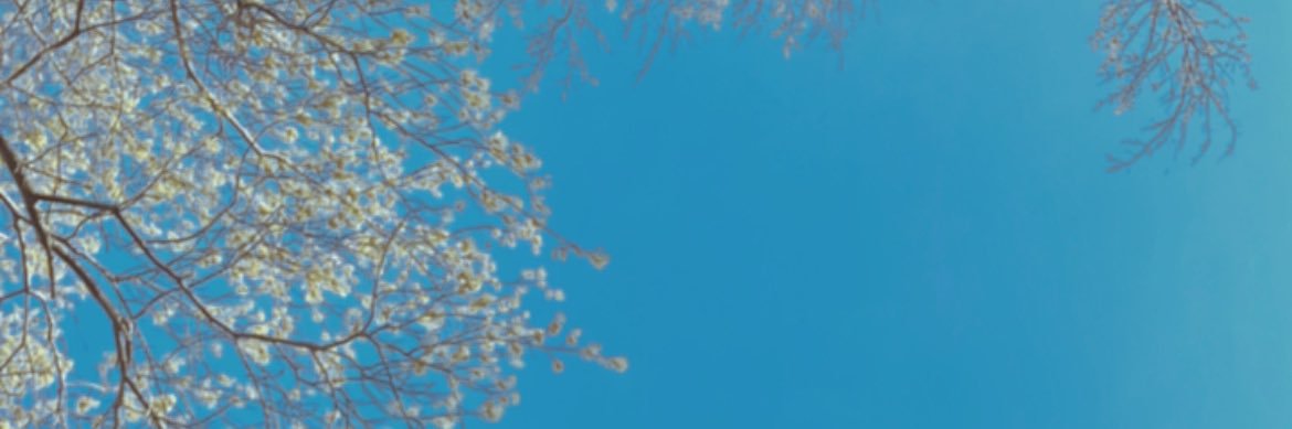 lbpx69's profile banner image