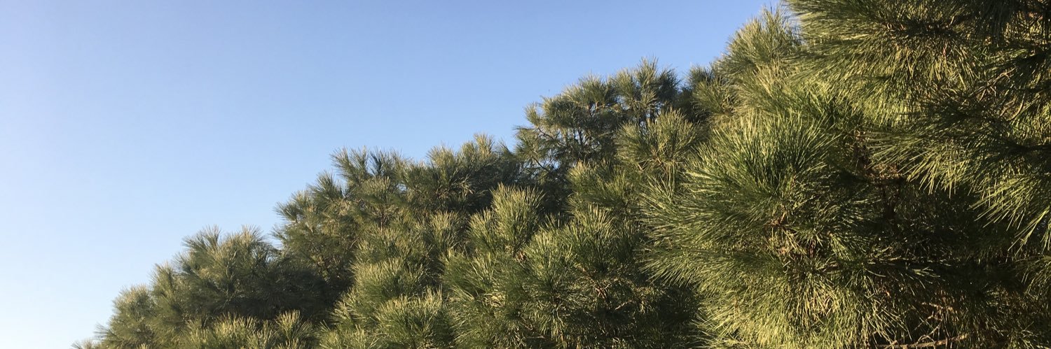 NZNSNDKC's profile banner image