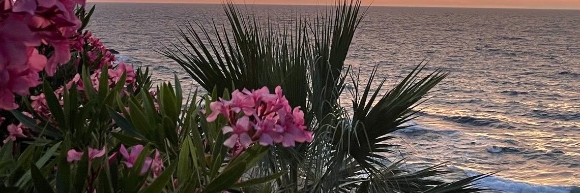 sayrahln's profile banner image